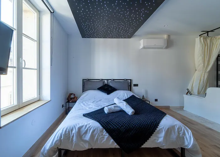 La Nuit Sous Les Etoiles Appartement Nancy